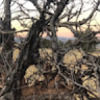 kevin_gilliland
